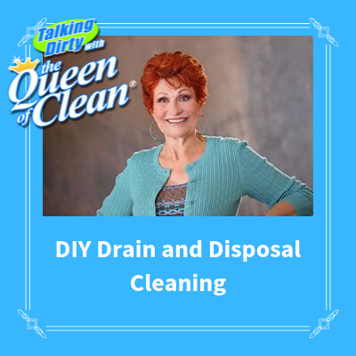 DIY DRAIN and DISPOSAL CLEANING