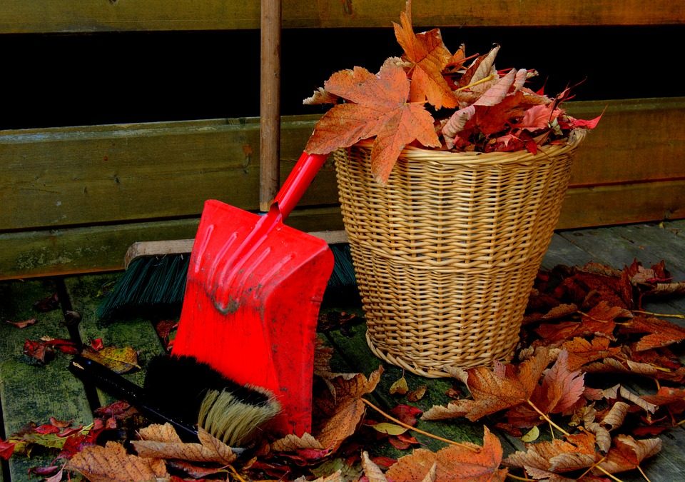 FALL CLEAN UP FOR YOUR HOME