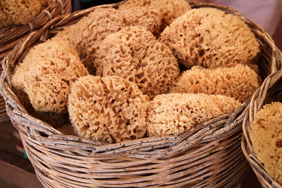 SPONGES – USES and CARE