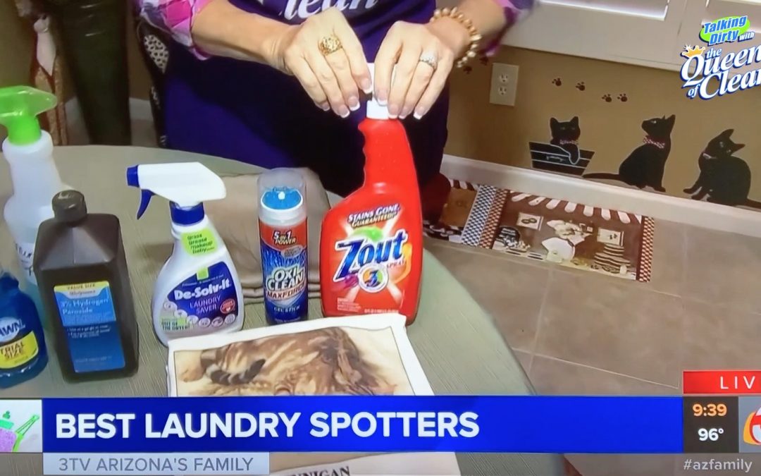 LAUNDRY SPOTTERS – BEST ONES TO BUY – BEST ONES YOU MAKE – Video