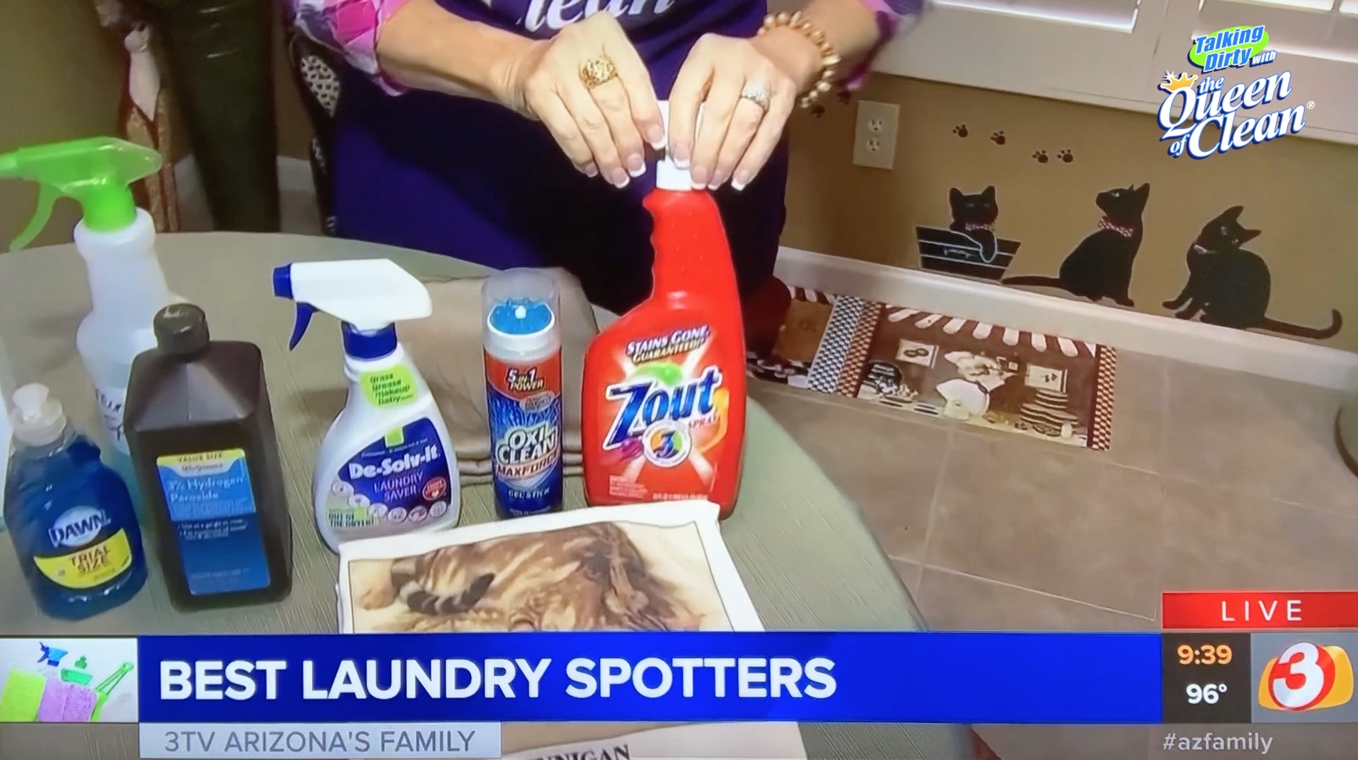 LAUNDRY SPOTTERS BEST ONES TO BUY BEST ONES YOU MAKE Video As