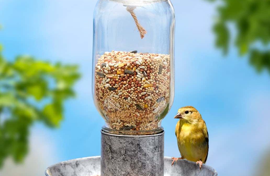 SQUIRREL PROOF Your BIRD FEEDER